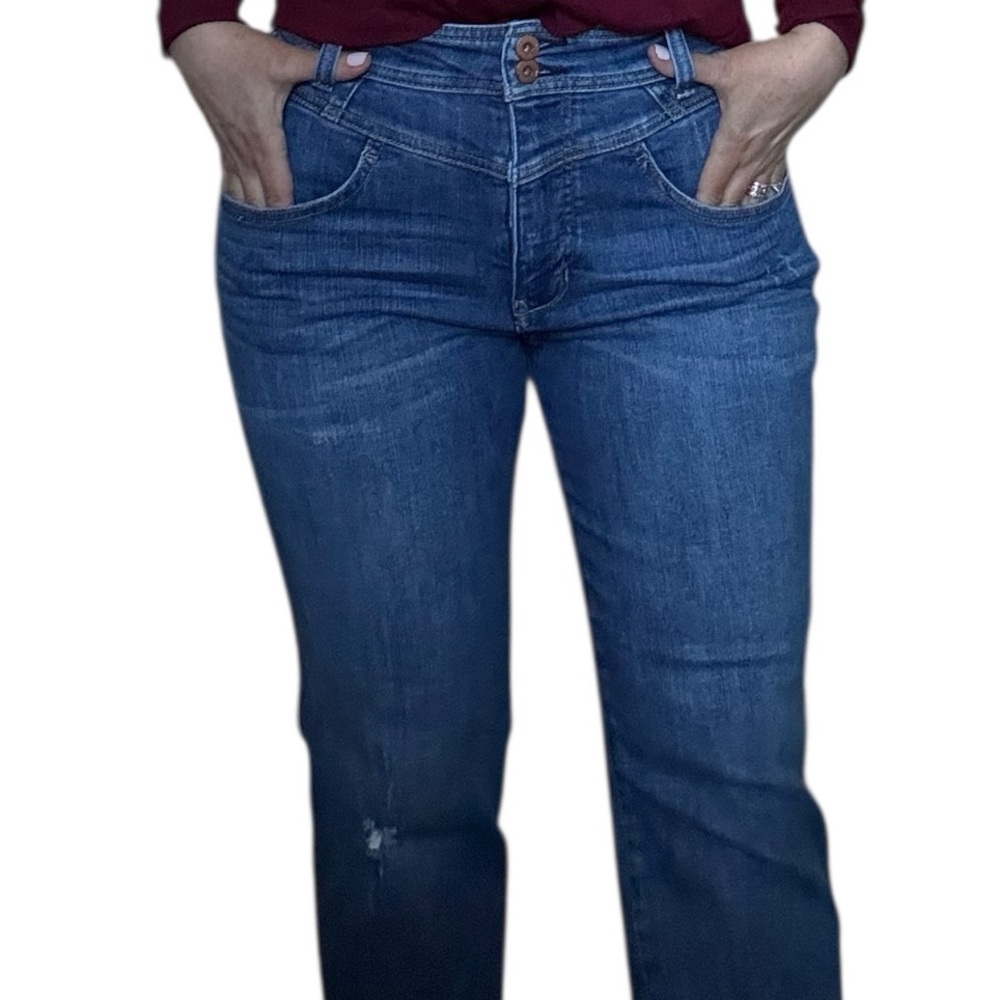 Pilcro and the Letterpress by Anthropologie straight leg crop high waist jeans